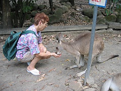 054 Cairns Tropical Zoo